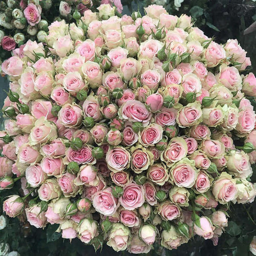 Каталог букетов