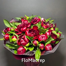 Букет 25 винных пионов