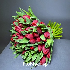 Букет 51 малиновый тюльпан