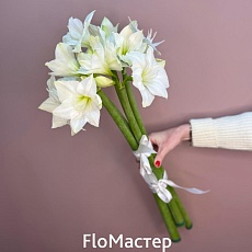 Букет 5 белых амариллисов