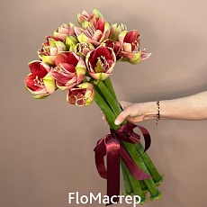 Букет 5 амариллисов