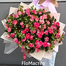 Букет 33 кустовые розы Fireworks