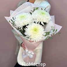 Букет 3 белые хризантемы