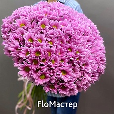 Букет 25 розовых хризантем