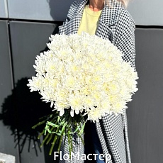 Букет 25 белых хризантем