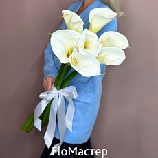 Букет 7 белых калл
