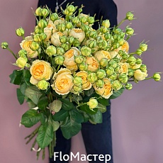 Букет 25 кустовых роз Sweet Catalina