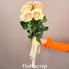 Букет 5 роз Эквадор Absolut In Pink