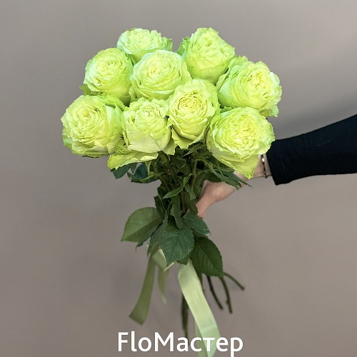 Букет 9 роз Эквадор Lemonad