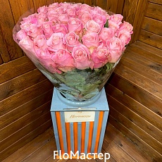 Роза Эквадор Hermosa