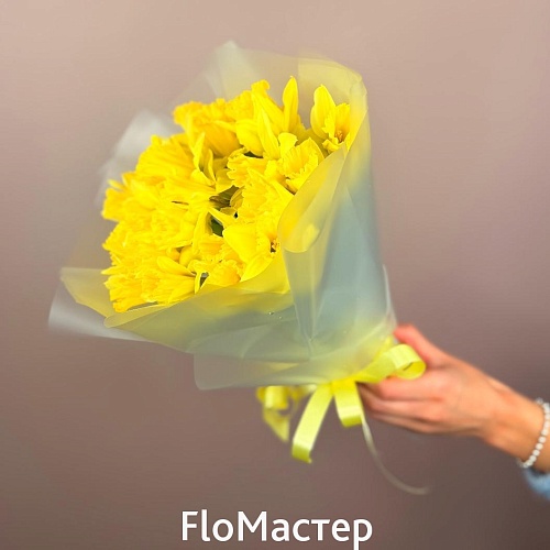 Букет из 25 желтых нарциссов