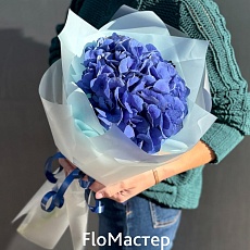 Букет 1 синяя гортензия
