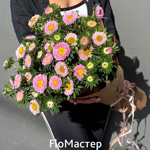 Букет из каллистефуса Букет из каллистефуса