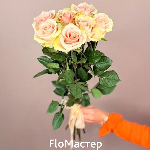 Букет 7 роз Эквадор Absolut In Pink