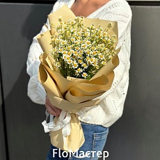 Букет 7 кустовых ромашек
