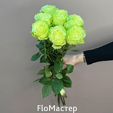 Букет 7 роз Эквадор Lemonad