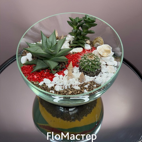 Флорариум 2 Флорариум 2