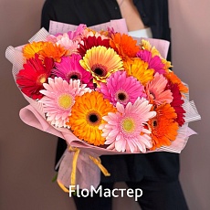 Букет 25 гербер Loco