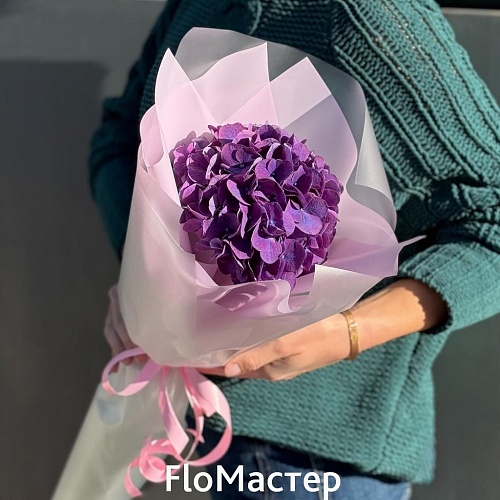 Букет 1 фиолетовая гортензия Букет 1 фиолетовая гортензия