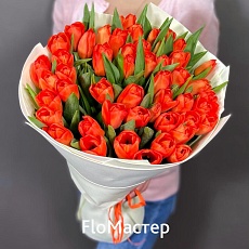 Букет 51 тюльпан World Faforite