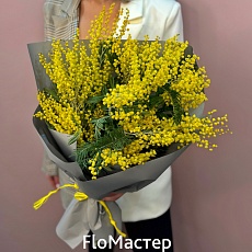 Букет Мимоза L