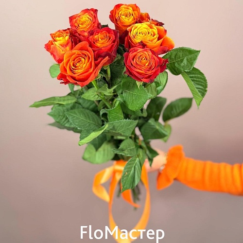 Букет 7 роз Эквадор Atomic