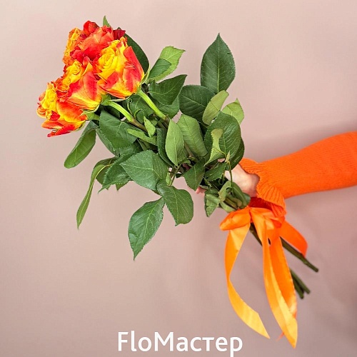 Букет 5 роз Эквадор Atomic