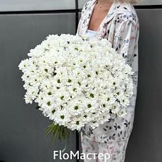 Букет 25 белых кустовых хризантем Bacardi