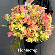 Букет 25 нежных альстромерий микс