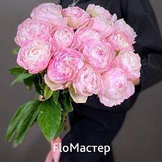 Букет 15 пионов Gardenia