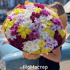 Букет 33 хризантемы Lecce