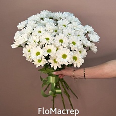 Букет 9 белых кустовых хризантем Bacardi