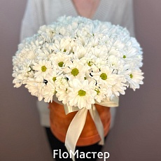 Композиция Angel