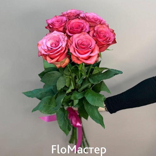 Букет 7 роз Эквадор Lola