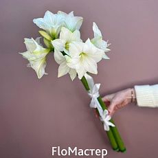 Букет 3  белых амариллиса