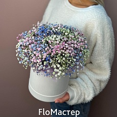 Композиция из гипсофилы Rainbow M