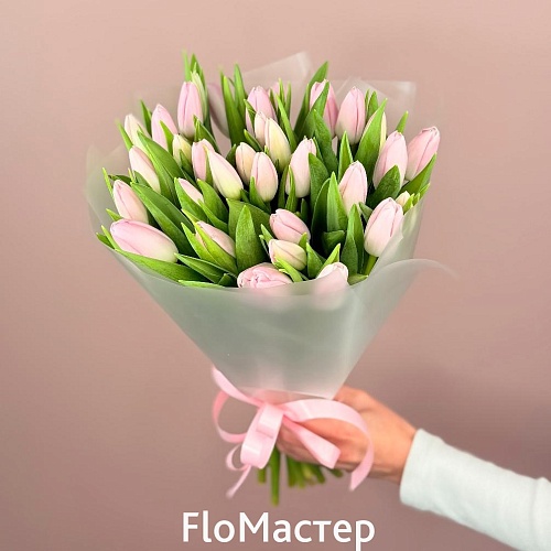Букет 33 нежно-розовых тюльпана