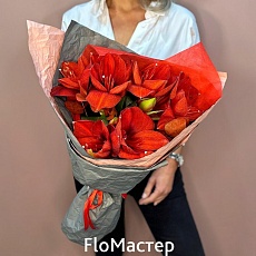 Букет 3 амариллиса