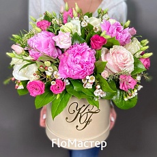 Композиция DIVINA