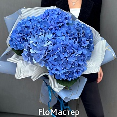 Букет 5 синих гортензий