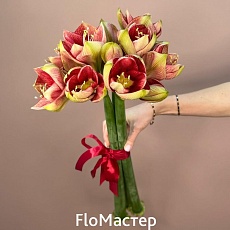 Букет 3 амариллиса