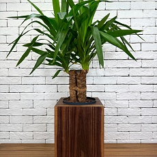 Ваза Rettangolo малая