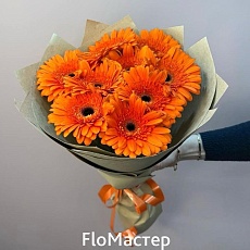 Букет 9 оранжевых гербер