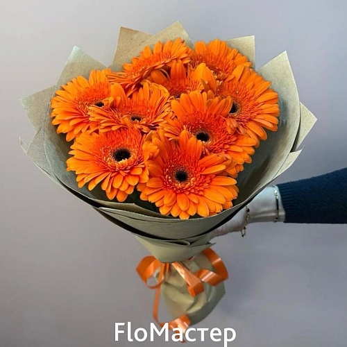 Букет 9 оранжевых гербер