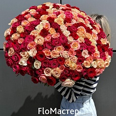 Букет 201 роза Микс