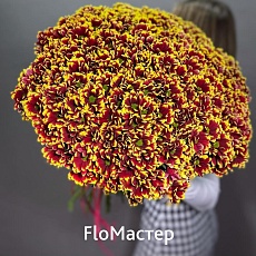 Букет 33 хризантемы Haidar