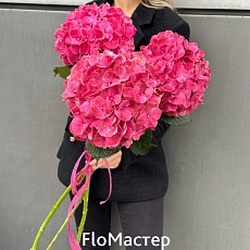 Букет 3 малиновые гортензии