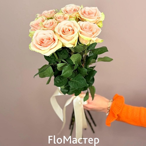 Букет 9 роз Эквадор Absolut In Pink