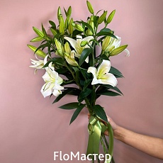 Букет 5 белых лилий Aurora