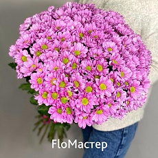 Букет 25 розовых кустовых хризантем